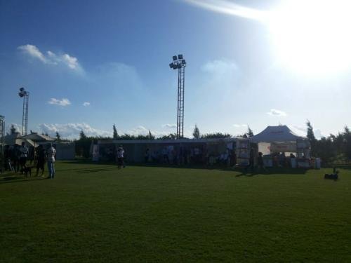 radisson_blu_alexandria_sports-camp (3)
